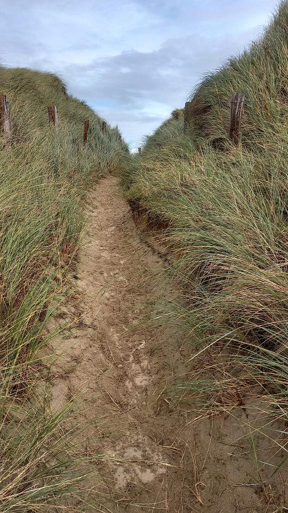 Sylt (182)